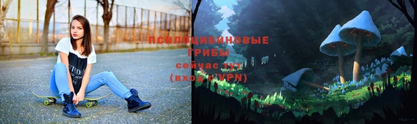 spice Алзамай