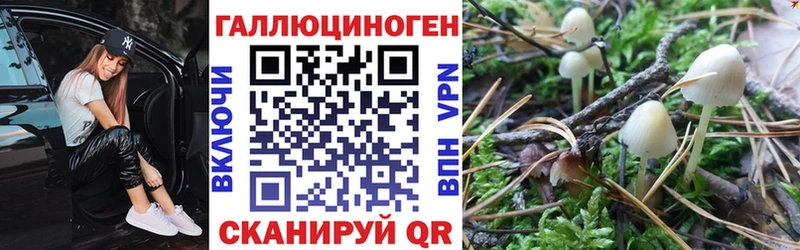 Псилоцибиновые грибы Psilocybe даркнет сайт это телеграм Анива